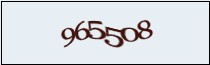 Loading Image
